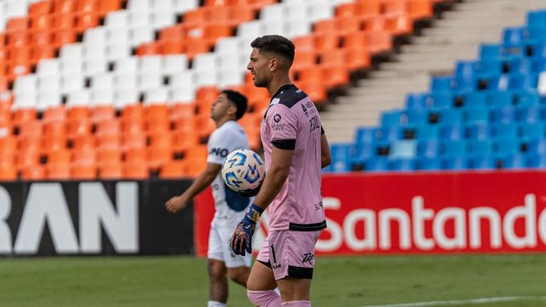 Bottines pour chiens : protégez efficacement les pattes de votre ami